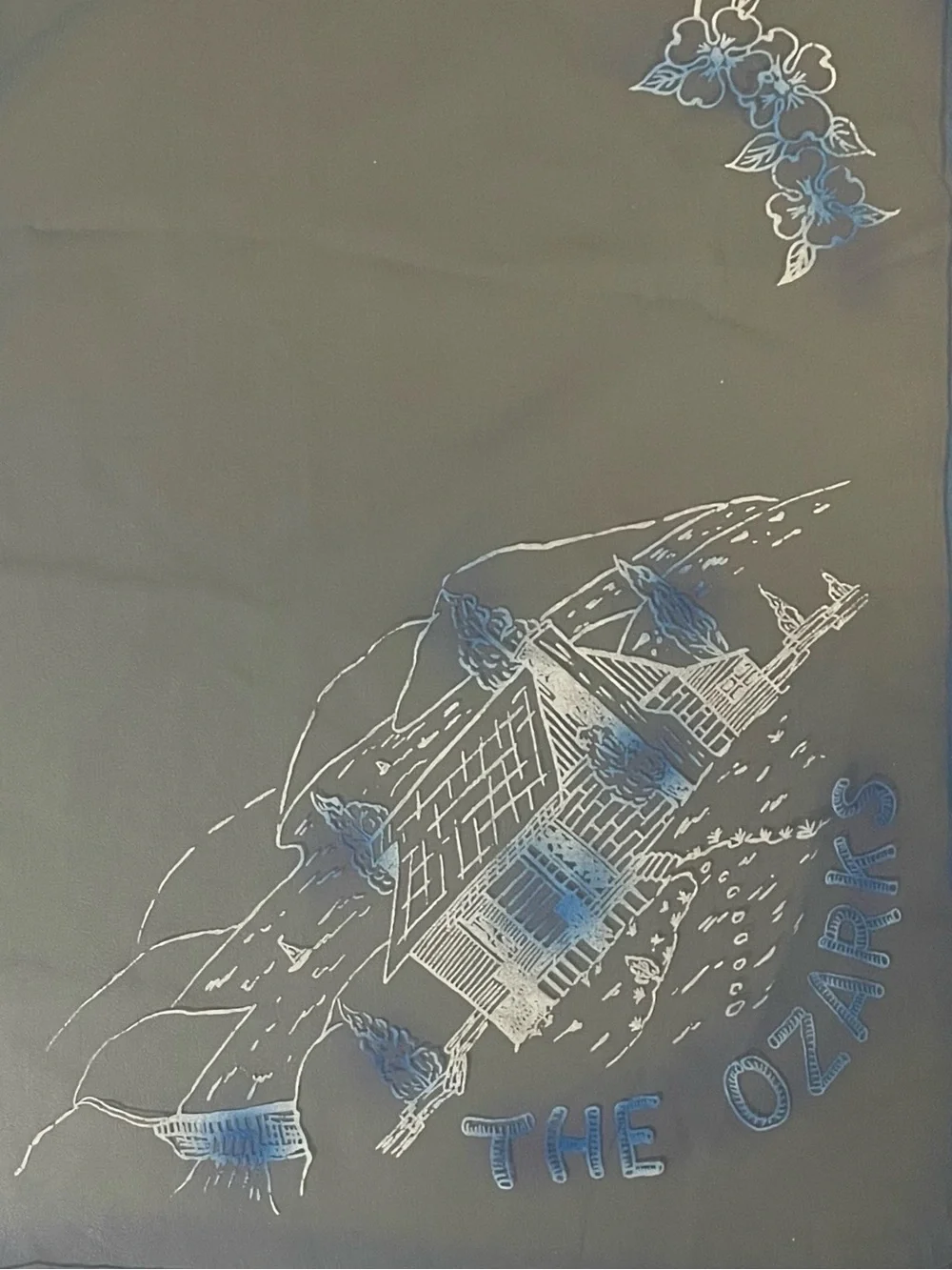 Lovely Vintage 50s Sheer Blue The Ozarks Souvenir Scarf 29 In Mint Condition